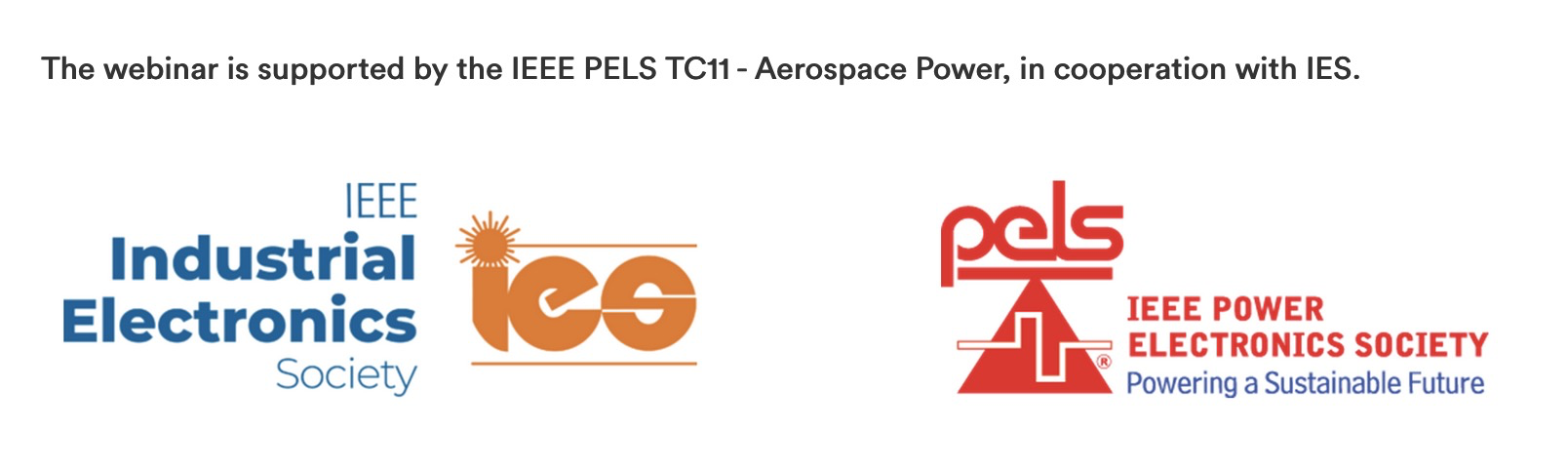 PELS-IES logo